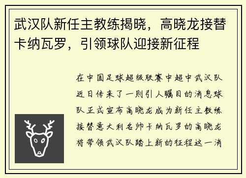 武汉队新任主教练揭晓，高晓龙接替卡纳瓦罗，引领球队迎接新征程