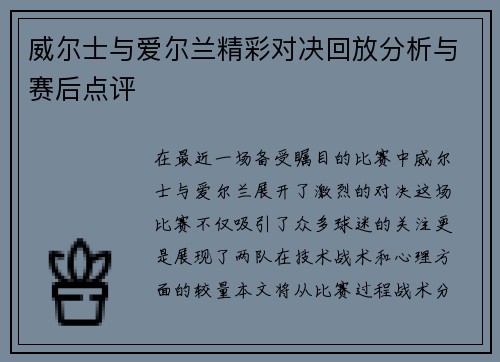 威尔士与爱尔兰精彩对决回放分析与赛后点评