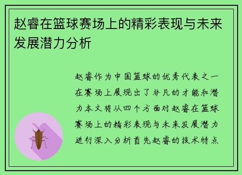 赵睿在篮球赛场上的精彩表现与未来发展潜力分析