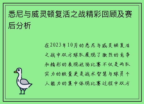 悉尼与威灵顿复活之战精彩回顾及赛后分析