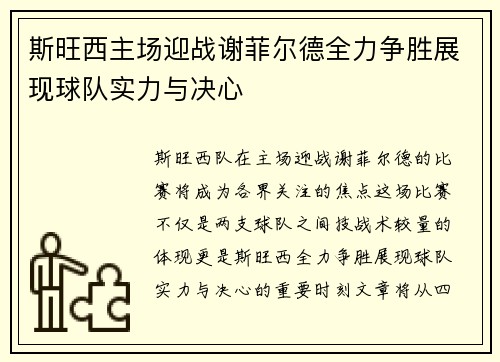斯旺西主场迎战谢菲尔德全力争胜展现球队实力与决心